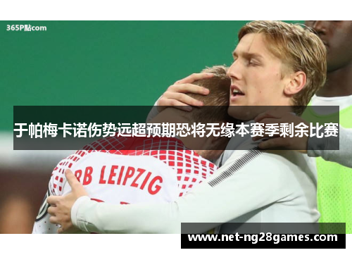 于帕梅卡诺伤势远超预期恐将无缘本赛季剩余比赛