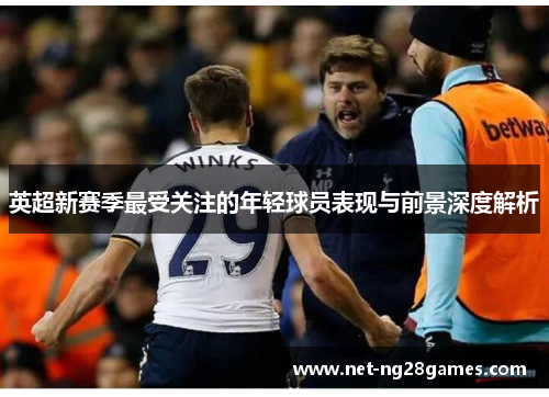 英超新赛季最受关注的年轻球员表现与前景深度解析