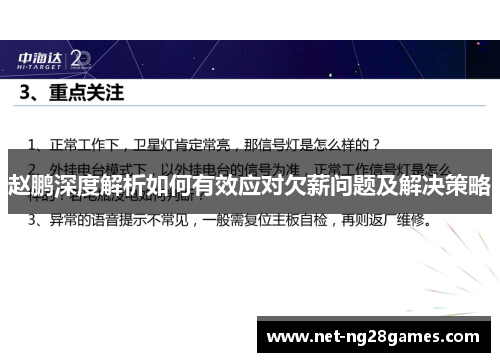 赵鹏深度解析如何有效应对欠薪问题及解决策略