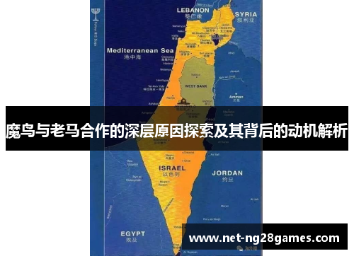 魔鸟与老马合作的深层原因探索及其背后的动机解析